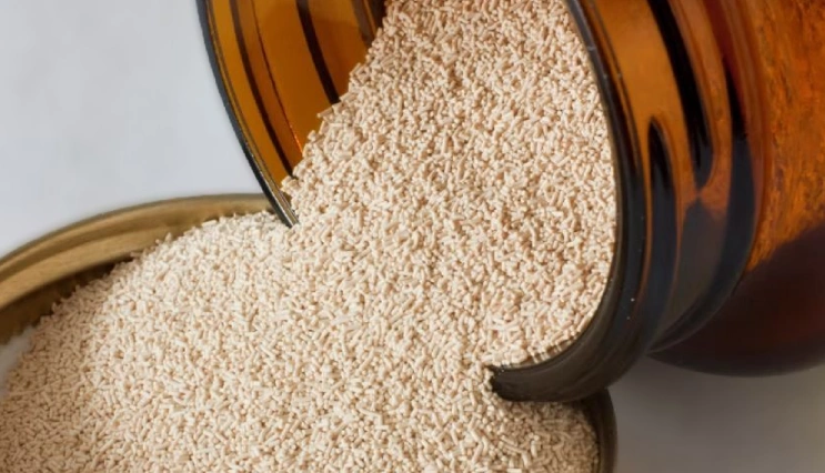 Brewer’s yeast, distiller’s yeast, baker’s yeast, microbial cell and related products