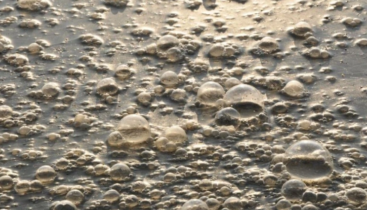 ETP Sludge generated in chemical-Pharmaceutical Industries