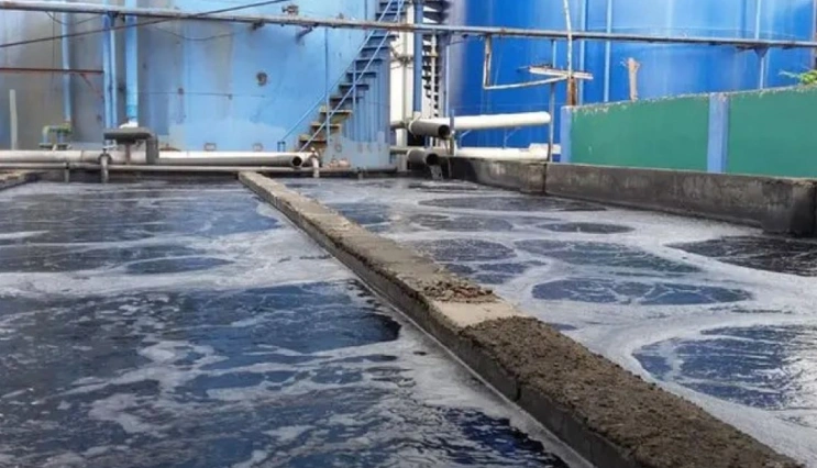 Etp Sludge Generated Molasses2