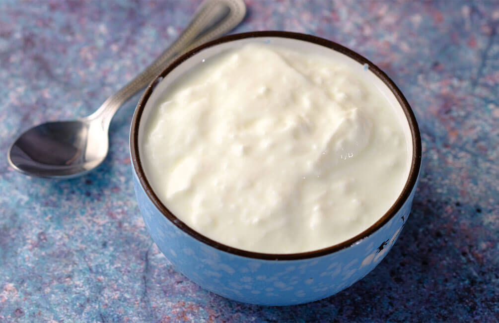 Starter-cultures-for-dairy