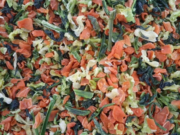 Food Dehydration drying