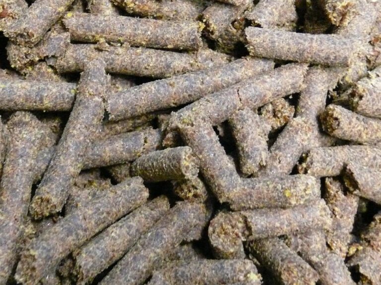 Animal, Aqua and Pet Feed drying