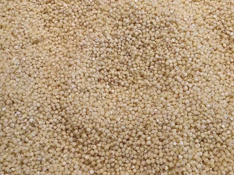 Grains, Pulses and Seeds drying